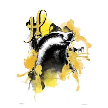 TREND SETTERS Harry Potter House Urban Watercolor Hufflepuff MightyPrint Wall Art MP17240529